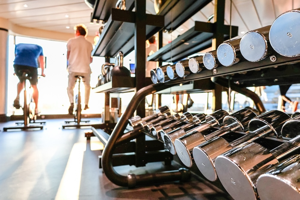 what is the purpose of a wellness center